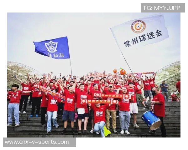 310足球热潮席卷全国球迷激情与梦想交汇的盛宴